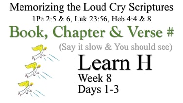 Learn H (Day 1-3)