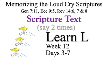 2x Learn L (Days 3-7)