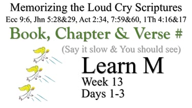 Learn M (Days 1-3)