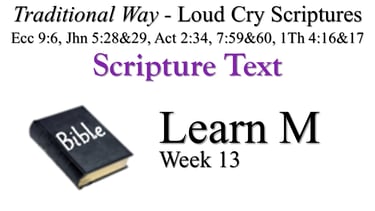 M Learn