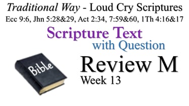 M Review ST wQ