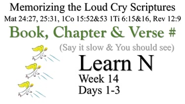 Learn N (Days 1-3)