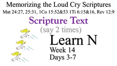 2x Learn N (Days 3-7)