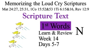 1st Words Learn & Review N (Days 5-7)