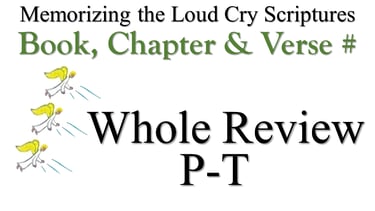 P-T Book, Chapter & Verse # Whole Review