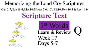 1st Words Learn & Review Q (Days 5-7)