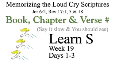 Learn S (Days 1-3)