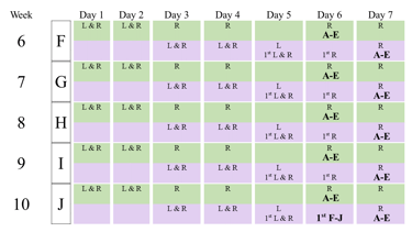 Schedule