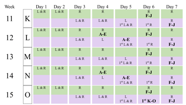 Schedule