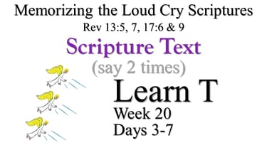 2x Learn T (Days 3-7)