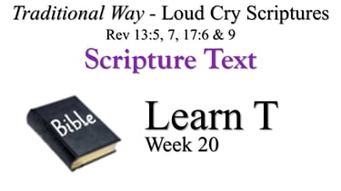 T Learn