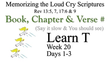 Learn T (Days 1-3)