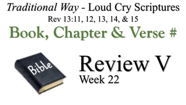 V Review BCV