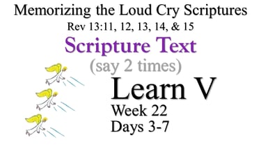 2x Learn V (Days 3-7)