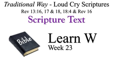 W Learn