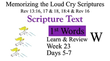 1st Words Learn & Review W (Days 5-7)