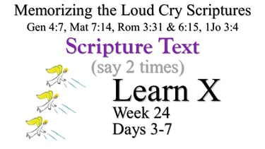 2x Learn X (Days 3-7)