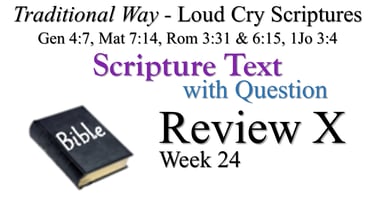 X Review ST wQ