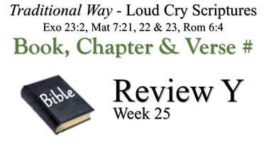 Y Review BCV