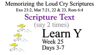 2x Learn Y (Days 3-7)
