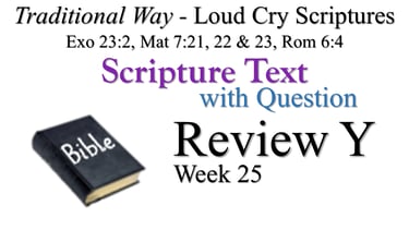 Y Review ST wQ