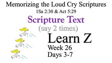 2x Learn Z (Days 3-7)