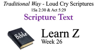 Z Learn