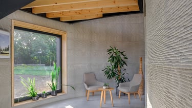 a living room with 2 chairs and a plant