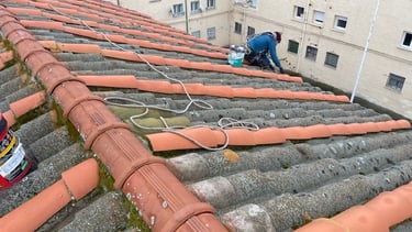 Reparación tejados Vilanova