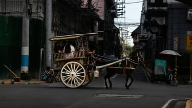 a horse drawn carriage in the middle of a city