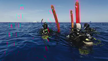 Imagen curso padi divemaster