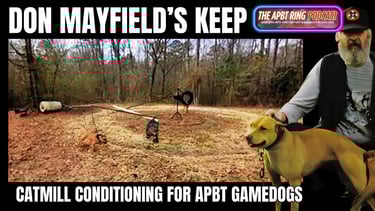 pit bull catmill conditioning by don mayfield
