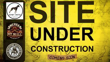 AMERICAN PIT BULL TERRIER HISTORY AND GAME DOG LEGACY