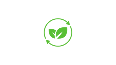 a green leafy plant with a green leaf in the middle
