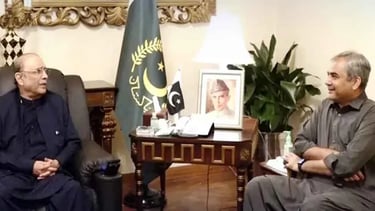 Zardari Assigns Mohsin Naqvi to Ease Political Strain Between Sindh and Punjab