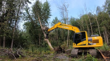 excavator clearing detention pond of trees and timber