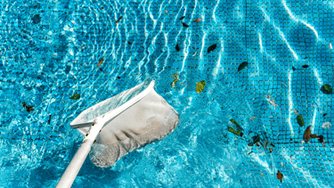 A pool skimmer is skimming leaves and debris from a bright, blue pool