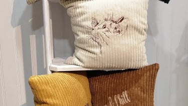 Coussin-personnalisé-Issoire