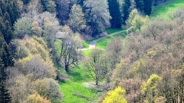 Hattsteinwiesen im Frühling