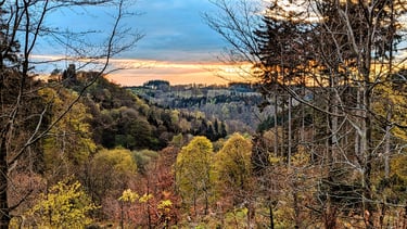 Schmittgrund im Frühling