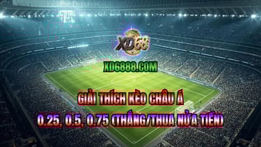Giải thích kèo châu á 0.25 0.5 0.75 trong cách đọc kèo bóng đá xd68