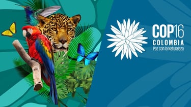 PESTICIDES LOBBYING COP ONU