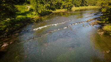 Fly Fish the South Holston River in Tennessee