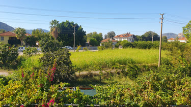 A view from Dalyan