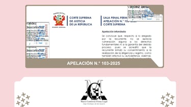 APELACIÓN Nº 103-2025