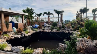 a pond with a pond and a house in the background