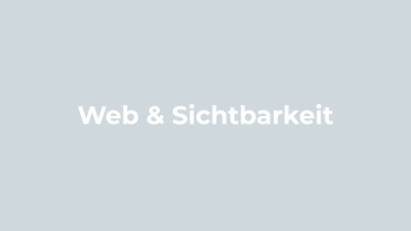 Grafik mit der Aufschrift "Web & Sichtbarkeit" – Fokus auf Webdesign,Google Ranking & Online Präsenz
