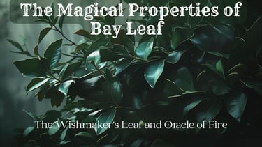 The Magical Properties of Bay Leaf — The Wishmaker’s Leaf and Oracle of Fire