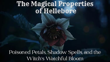 The Magical Properties of Hellebore