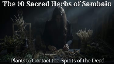 The 10 Sacred Herbs of Samhain: Plants to Contact the Spirits of the Dead